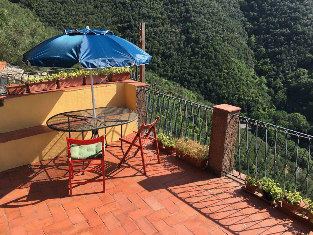 Cinqueterre - Terrace And Beautiful View Leilighet Levanto Eksteriør bilde